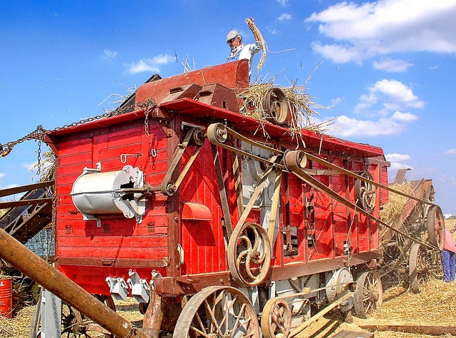 Jakich zawodów nie ma w Polsce? Jakich zawodów nie ma w Polsce?