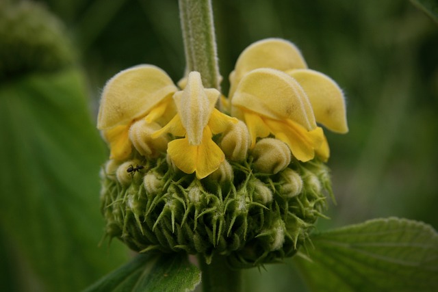 Z czego składa się brand book? Z czego składa się brand book?