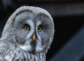 Skąd brać siłę w depresji? Skąd brać siłę w depresji?