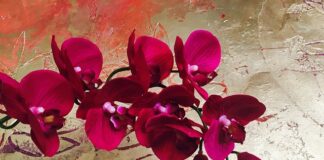 Kiedy marka jest premium?