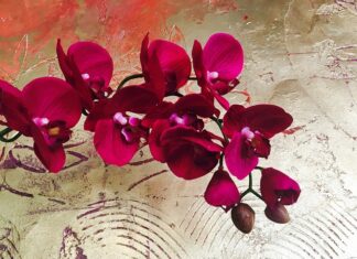 Kiedy marka jest premium?