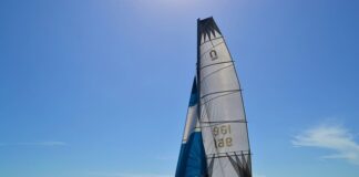 Co to są kotwice kariery?