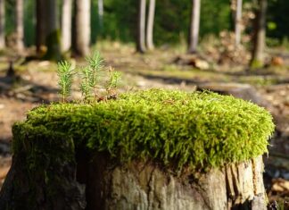 Jak zregenerować się psychicznie?
