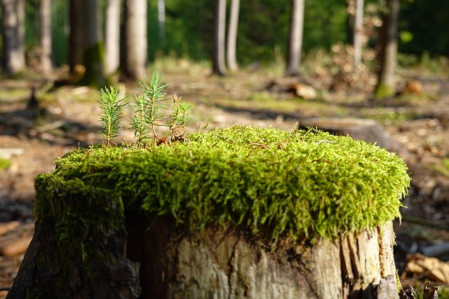 Jak zregenerować się psychicznie? Jak zregenerować się psychicznie?