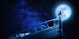 Kiedy dochodzą Podstawy przedsiębiorczości?