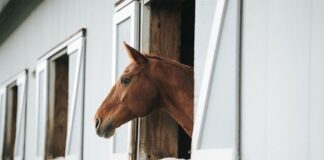 Jak stać się stabilnym emocjonalnie?