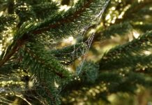 Jak poznać siebie i swoje potrzeby?