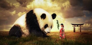 Jak ubiór wpływa na komunikowanie z innymi ludźmi?