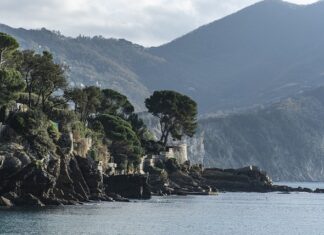 Ile kosztuje wyprodukowanie 1 koszulki w Chinach?