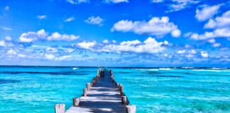 Ile za wczasy pod gruszą 2023?