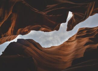 Jakie są formy umowy?