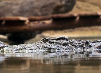 Na czym polega zasada integralności terytorialnej? Na czym polega zasada integralności terytorialnej?