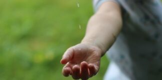 Z jakich zasobów Internetu korzysta Pan i najczęściej W pracy dydaktycznej i wychowawczej?