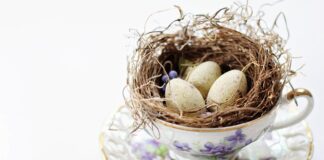 Ile trwa odnowienie kwalifikacji?