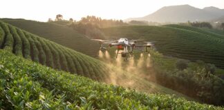 Jakie są różne typy systemów zarządzania bazami danych?