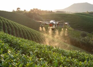 Jakie są różne typy systemów zarządzania bazami danych?