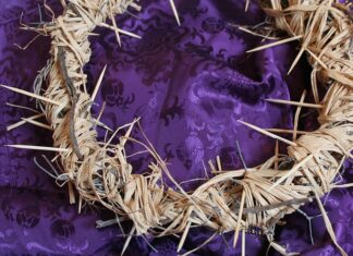 Ile dni na zgłoszenie pracownika? Ile dni na zgłoszenie pracownika?