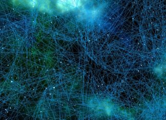 Co niszczy komórki nowotworowe? Co niszczy komórki nowotworowe?