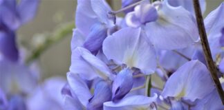 Ile dni przed rozpoczęciem pracy można podpisać umowę o pracę?