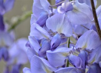 Ile dni przed rozpoczęciem pracy można podpisać umowę o pracę? Ile dni przed rozpoczęciem pracy można podpisać umowę o pracę?