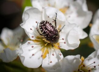 Czy wczasy pod gruszą należą się każdemu? Czy wczasy pod gruszą należą się każdemu?