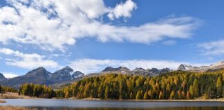 Co jeśli nie mam stażu pracy?