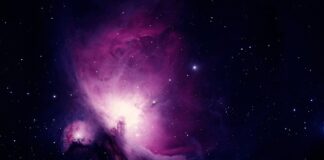 Ile trwa nauka na radcę prawnego?