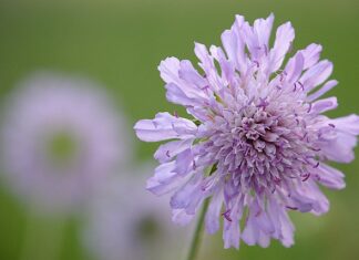 Co to znaczy że dane są integralne? Co to znaczy że dane są integralne?