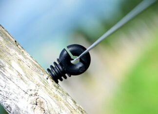 Ile Polaków ma konto w banku? Ile Polaków ma konto w banku?