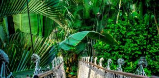 Jak długo jest ważny kurs na przewóz rzeczy?