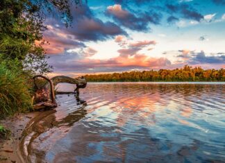 Co jeśli nie zapłacę adwokatowi?