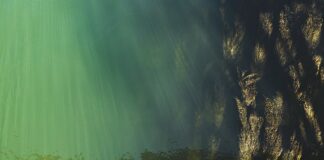 Co znaczy wysoki poziom kultury osobistej?