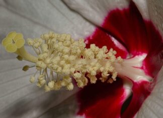 Ile zasad zawierają postulaty codda? Ile zasad zawierają postulaty codda?