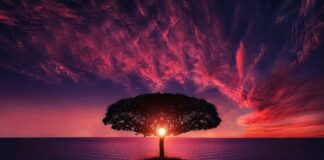 Jak tworzą się chmury?