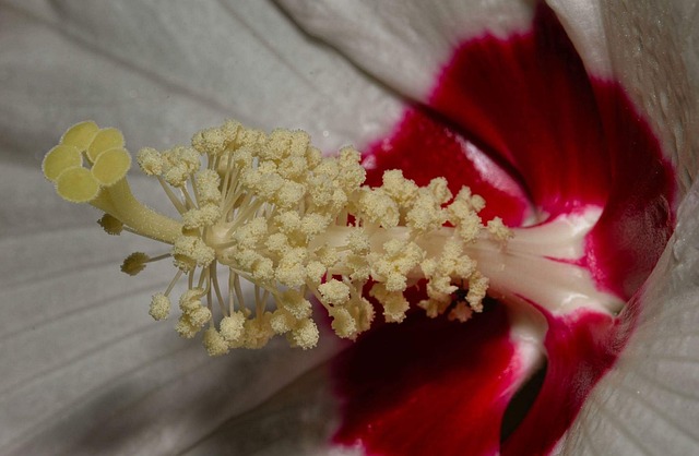 Co to są postulaty codda? Co to są postulaty codda?