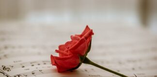 Jak skorzystać z bezpłatnej porady prawnej?