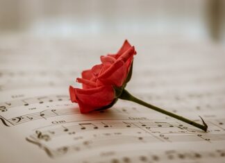 Jak skorzystać z bezpłatnej porady prawnej? Jak skorzystać z bezpłatnej porady prawnej?