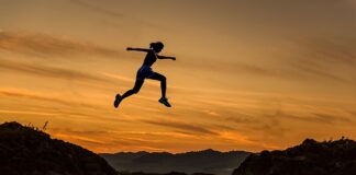 Jakie są zawody prawnicze?