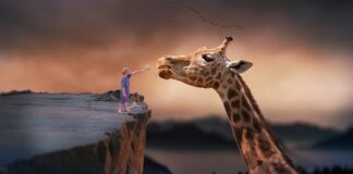 Czy można żyć bez szpiku kostnego?