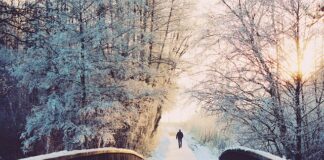 Czy dni wolne przechodzą do nowej pracy?