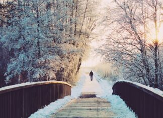 Czy dni wolne przechodzą do nowej pracy?