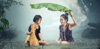 Z czego składa się kultura?