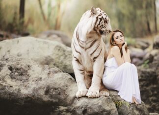 Na czym polega ochrona baz danych?