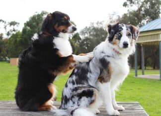 Jak wycofać się z podpisanej umowy o pracę?