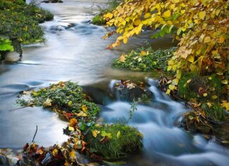 Na czym polega naświetlania? Na czym polega naświetlania?
