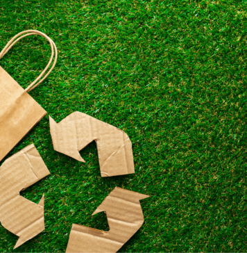 Jak producenci opakowań wspierają klientów B2B w przejściu na bardziej odpowiedzialne rozwiązania? ODPOWIEDZIALNE ROZWIĄZANIA